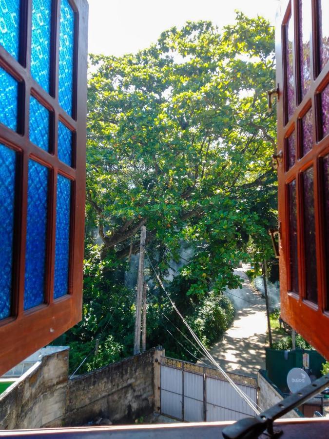 Auberge de jeunesse Backpacker